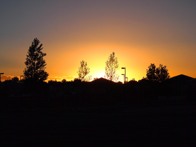 [Sun is just below the horizon, but the yellow and orange half circles are still visible as are the four, leafed trees backlit by it.]